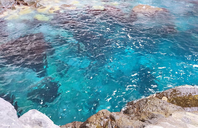 Trébol "trail Mountain La Palma" Vistas Al Mar - Foto 29