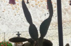 L'Empire D'Essences Appartement - Foto 36