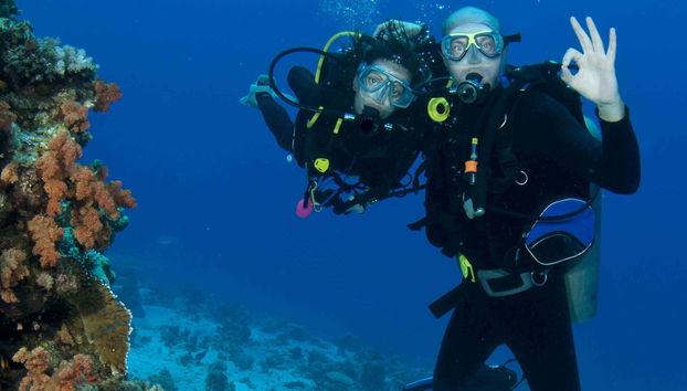 Baptême de plongée sur l'île de Lord Howe