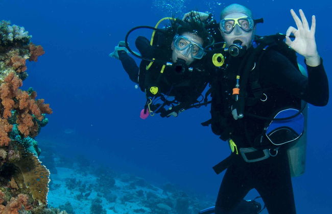 Baptême de plongée sur l'île de Lord Howe - Photo 5