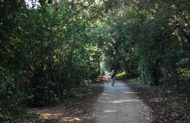 Maison Vert d'Eau - Foto 19