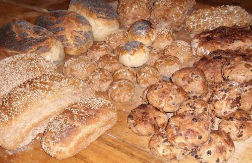 The Cwtsh at Ffynnon Clun: unique. - Photo 38