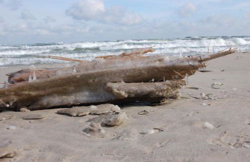 Sun Island - Foto 38