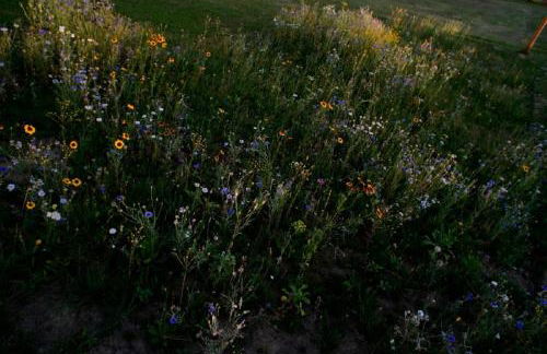 Ferienwohnung Mirtei - Foto 45