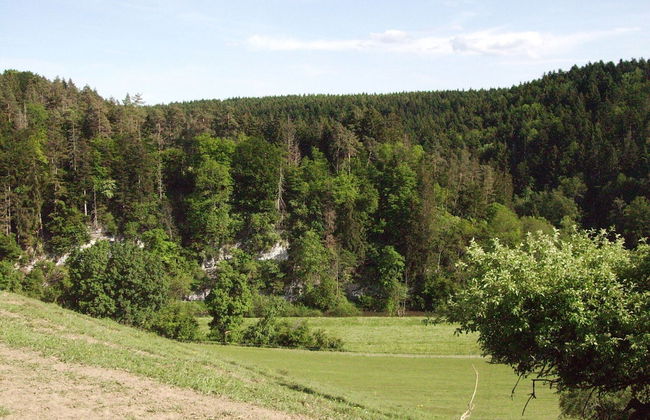 Welcoming Apartment in Niedereschach OT Kappel near Lake - Photo 50