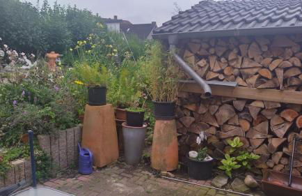 Charmante Ferienwohnung - Foto 12