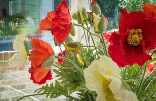 The Green House - Photo 20