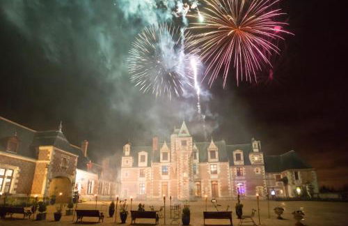 GITE LOFT DE 15 PERSONNES AU CHATEAU DE JALLANGES VOUVRAY - Foto 6