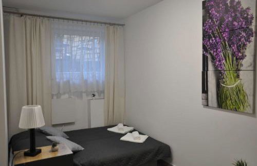 Legionowo Przytulny Apartament z Tarasem by Noclegi Renters - Foto 1