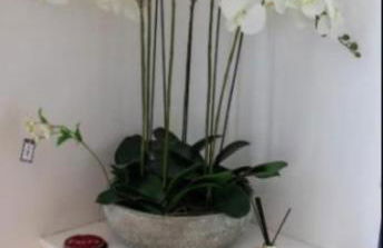 Charming 3BDR House By Homestyles Hosts Short Lets & Serviced Accommodation Hoole With Free Parking & Free WiFi - Photo 10