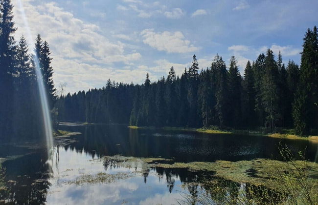 Holiday Villa in Beautiful Location - Photo 35