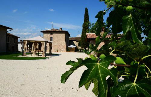 Agriturismo Corte Davini - Photo 126