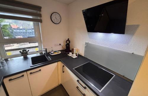 Ruhige Wohnung mit Garten- Nahe Schwarzwald und Baden-Baden - Foto 5