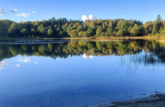 4 Person Holiday Home in Aars - Foto 26