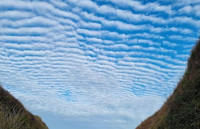 Parc Beausejour Dieppe - Foto 48