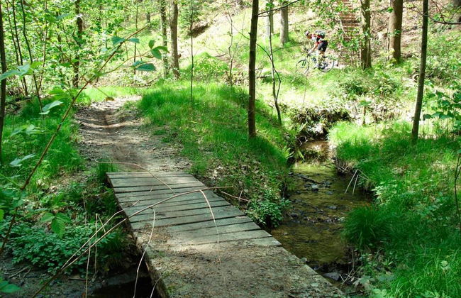 Ferienhaus in Wiek - Foto 12