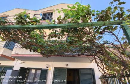 Casa Allende - Foto 3