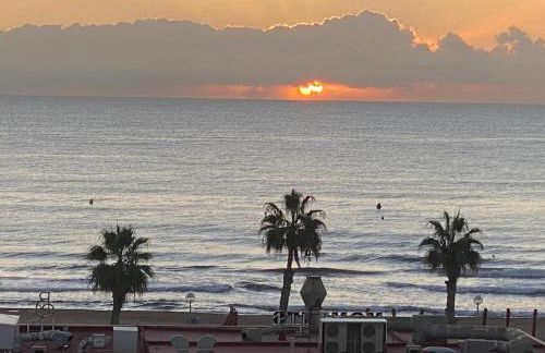 AEROPUERTO El ALTET - Photo 17