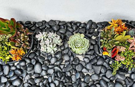 AQUAMARIA HOME - perfect stay for groups - Foto 33