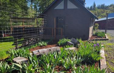 Cozy Cabin, near Mosier and Hood River - Foto 1