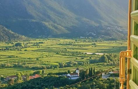 Apartman Maslina - Foto 7