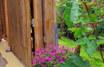 Ferienwohnung Schwarzwaldglück - Foto 39