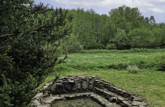 Willa Juszczyn - Foto 30