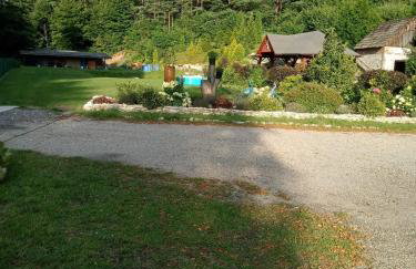 Agroturystyka Leśna Ostoja Borek - Foto 13