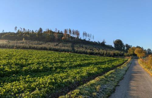 Fuchsbau Sorpesee - Foto 7