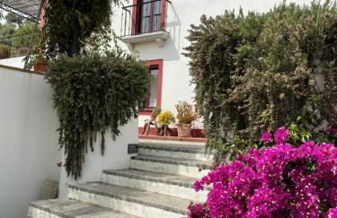 Quinta da Asneira - Foto 8