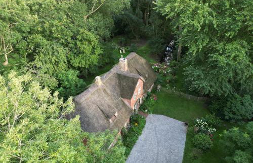 Dachgeschosswohnung Warft Simmerdeis in Reetdachhaus mit parkähnlichem Garten - Foto 18