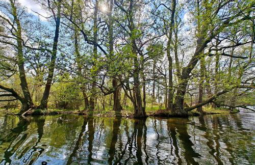 Leśna Ostoja w centrum Puszczy Nadnoteckiej otoczona 3 jeziorami - Foto 32