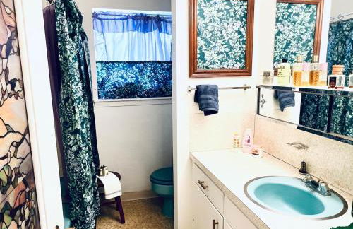 1960's time capsule, in Alvin,Texas - Foto 20