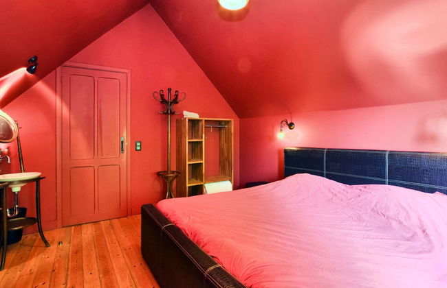 A Beautiful Art Nouveau House With an Enormous Garden - Foto 8