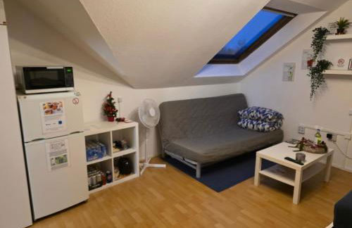 Business-Travel-Apartment & Ferienwohnung Münster, Check-In von 15 bis 22 Uhr möglich - Foto 7