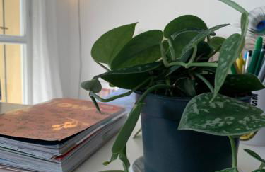 Cozy Studio Apartment - Foto 10