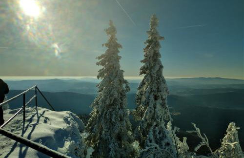Hüttenzauber Ferienwohnung mitten im Nationalpark - Foto 24