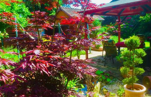 Kassel Souterrain in Stadtnähe mit 2 Bädern und EV Lademöglichkeit - Foto 48