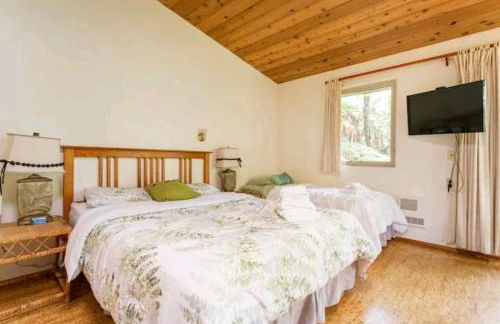 Kilauea iki- Hale Kumu La'au - Foto 6