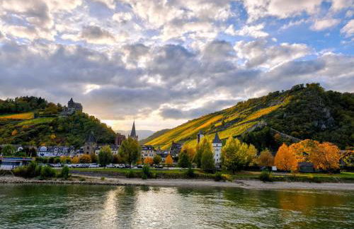 Bacchus Holiday Homes - Foto 59