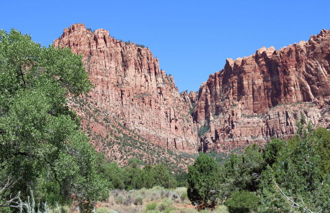 Cozy Cabins - Foto 6