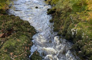 Crib Goch Cozy Dog-friendly Cabin Retreat - Foto 38