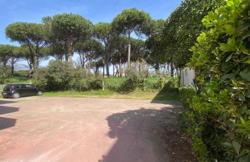 Confortevole appartamento tra spiaggia e pinete - Foto 24