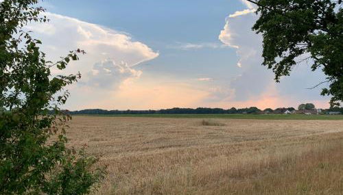 Alter Gasthof Seminar- und Gästehaus Spreewald - Foto 5