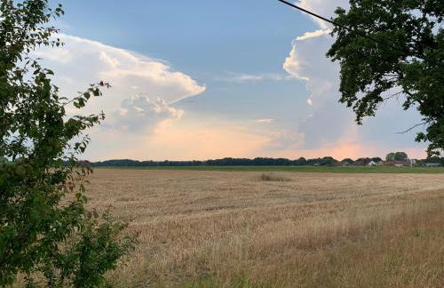 Alter Gasthof Seminar- und Gästehaus Spreewald - Foto 5