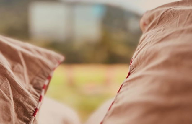 Clareira Cabanas - Photo 5