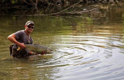Monteurswohnung Kassel Ferienwohnung Parkplatz Küche 1- 4 Personen EG Modern - Foto 21