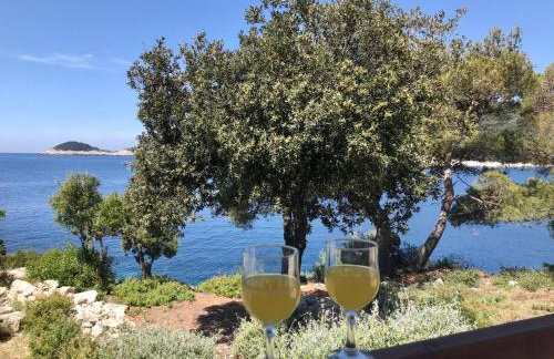 Apartments Franić - Photo 14