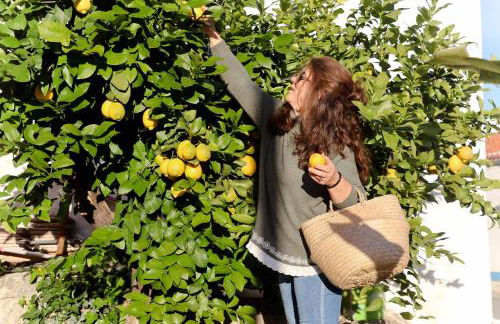 4Cantos Alentejo - Foto 39