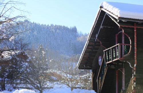 Le Grand Neige - 36 - Appart Montagne 6 pers - Photo 14